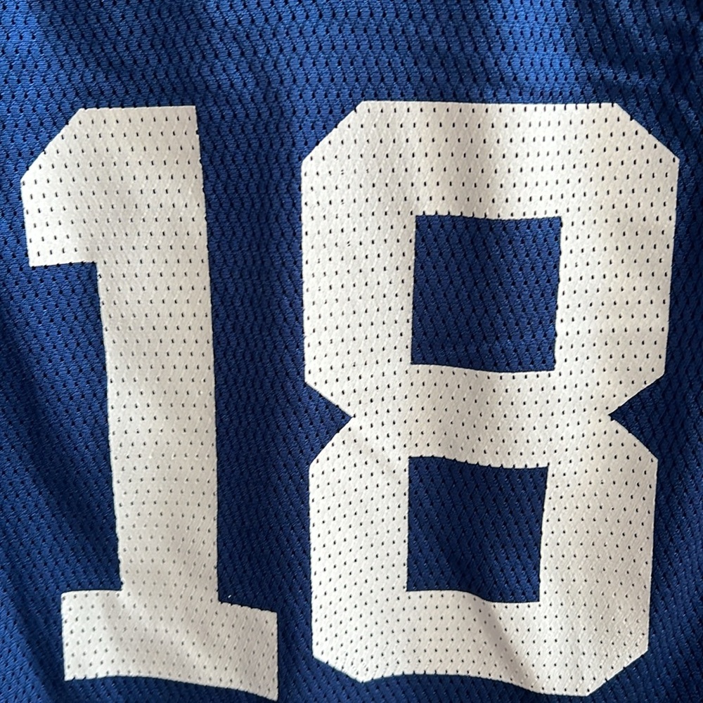 Vintage Reebok Peyton Manning OnField NFL Colts Stitched Jersey Kids Size 10-12 - Picture 3 of 6